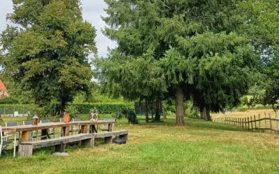 Laat de adembenemende locatie je coach zijn