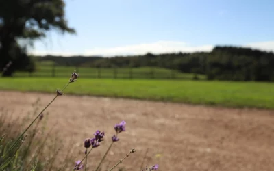 Groepsretraite? Laat de magie van de omgeving je betoveren